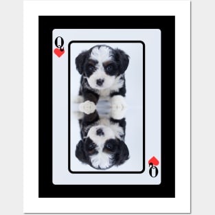 Maltese Terrier Queen Of Hearts Posters and Art